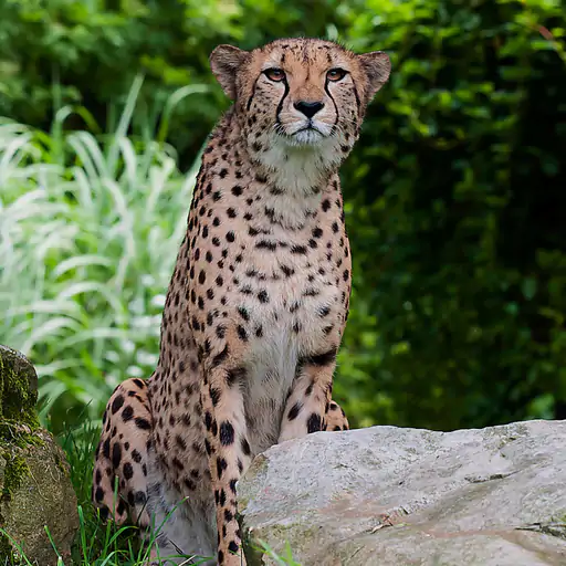 Current Affairs 2026