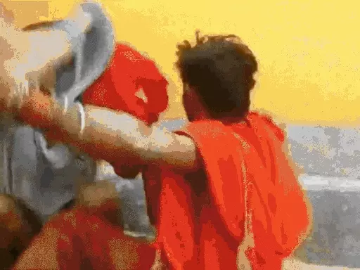 वोमिट ऑन पेपर कंट्रोवर्सी