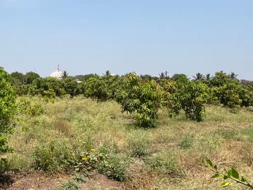 untitled design 2026 04 04t194148328 1775313092