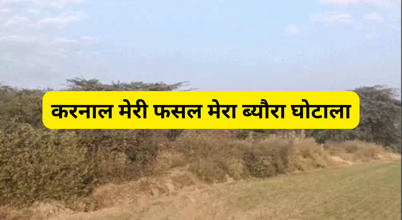 करनाल मेरी फसल मेरा ब्यौरा घोटाला